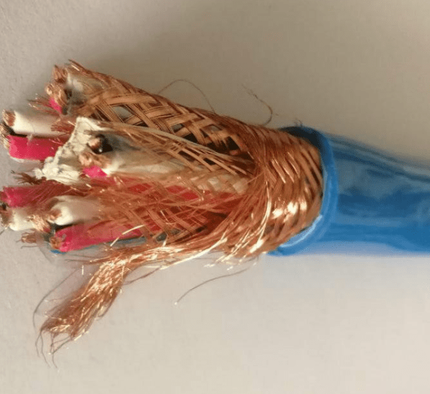 本安計(jì)算機(jī)電纜IA-DJYVP